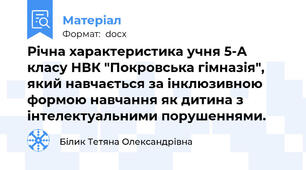 Річна характеристика учня 5-А класу НВК "Покровська гімназія", який навчається за інклюзивною формою навчання як дитина з інтелектуальними порушеннями.