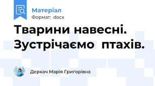 Тварини навесні.  Зустрічаємо  птахів.