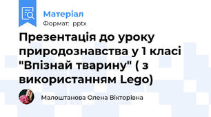 Презентація до уроку природознавства у 1 класі "Впізнай тварину" ( з використанням Lego)