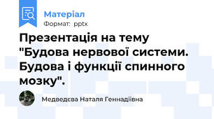 Презентація на тему "Будова нервової системи. Будова і функції спинного мозку".