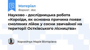 Науково - дослідницька робота «Короїди, як основна причина появи смоляних лійок у сосни звичайної на території Остківського лісництва»