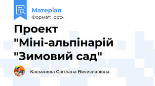 Проект "Міні-альпінарій "Зимовий сад"