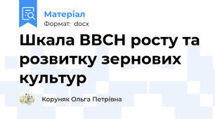 Шкала ВВСН росту та розвитку зернових культур