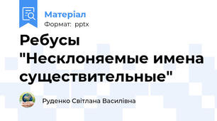 Ребусы "Несклоняемые имена существительные"