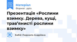 Презентація «Рослини взимку. Дерева, кущі, трав’янисті рослини взимку»