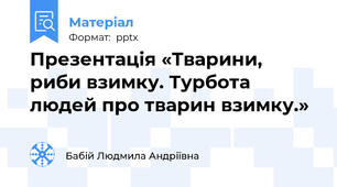Презентація «Тварини, риби взимку. Турбота людей про тварин взимку.»