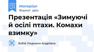 Презентація «Зимуючі й осілі птахи. Комахи взимку»