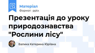 Презентація до уроку природознавства "Рослини лісу"