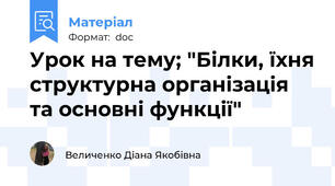 Урок на тему; "Білки, їхня структурна організація та основні функції"