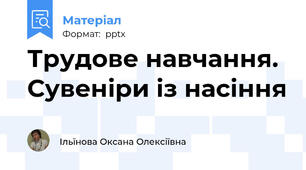 Трудове навчання. Сувеніри із насіння