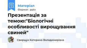 Презентація за темою:"Біологічні особливості вирощування свиней"