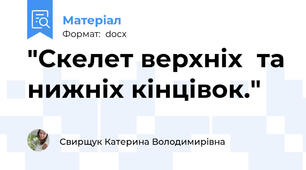 "Скелет верхніх  та нижніх кінцівок."