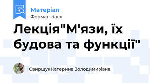 Лекція"М'язи, їх будова та функції"