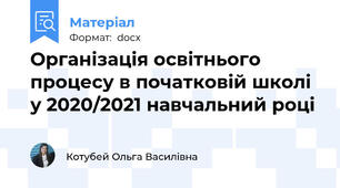 Організація освітнього процесу в початковій школі  у 2020/2021 навчальний році