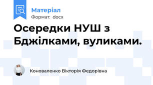 Осередки НУШ з Бджілками, вуликами.