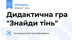 Дидактична гра "Знайди тінь"