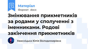 Змінювання прикметників за родами у сполученні з іменниками. Родові закінчення прикметників