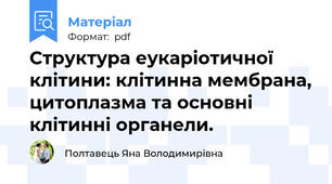 Структура еукаріотичної клітини: клітинна мембрана, цитоплазма та основні клітинні органели.