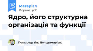 Ядро, його структурна організація та функції