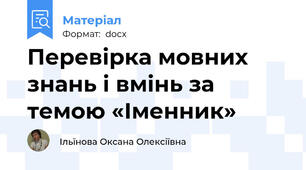 Перевірка мовних знань і вмінь за темою «Іменник»