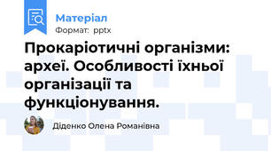 Прокаріотичні організми: археї. Особливості їхньої організації та функціонування.