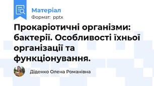 Прокаріотичні організми: бактерії. Особливості їхньої організації та функціонування.