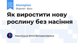 Як виростити нову рослину без насіння