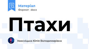 Птахи