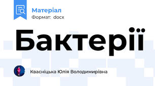 Бактерії