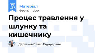Процес травлення у шлунку та кишечнику