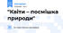 "Квіти – посмішка природи"