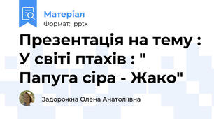 Презентація на тему : У світі птахів : " Папуга сіра - Жако"