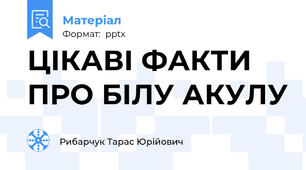 ЦІКАВІ ФАКТИ ПРО БІЛУ АКУЛУ