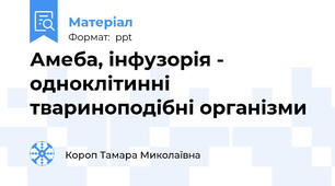 Амеба, інфузорія - одноклітинні твариноподібні організми