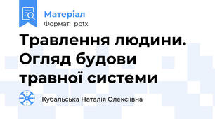 Травлення людини. Огляд будови травної системи