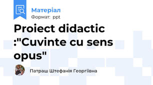 Proiect didactic :"Cuvinte cu sens opus"