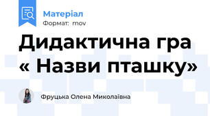 Дидактична гра « Назви пташку»