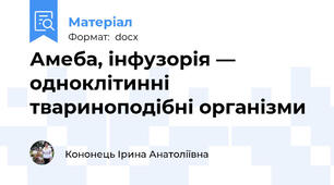 Амеба, інфузорія — одноклітинні твариноподібні організми