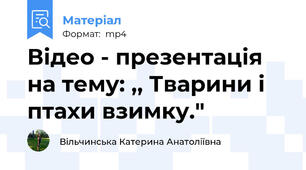 Відео - презентація на тему: ,, Тварини і птахи взимку."
