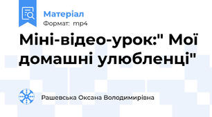 Міні-відео-урок:" Мої домашні улюбленці"