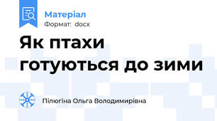 Як птахи готуються до зими