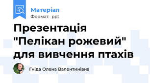 Презентація "Пелікан рожевий" для вивчення птахів
