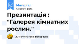 Презинтація : "Галерея кімнатних рослин."