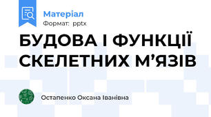 БУДОВА І ФУНКЦІЇ СКЕЛЕТНИХ М’ЯЗІВ