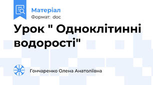 Урок " Одноклітинні водорості"
