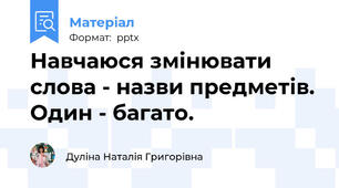 Навчаюся змінювати слова - назви предметів. Один - багато.