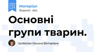 Основні групи тварин.