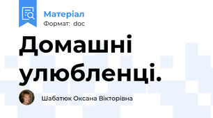 Домашні улюбленці.