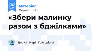 «Збери малинку разом з бджілками»