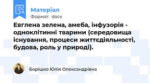 Евглена зелена, амеба, інфузорія - одноклітинні тварини (середовища існування, процеси життєдіяльності, будова, роль у природі).